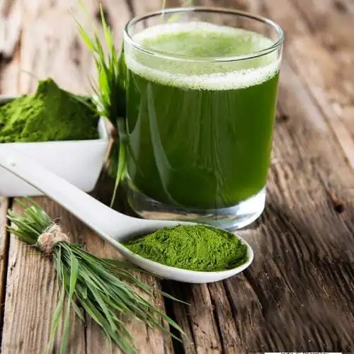 Cough Relief Herbal Syrup in Chennai